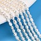 Natural Cultured Freshwater Pearl Beads Strands, Baroque Pearls Keshi Pearl Beads, Two Sides Polished, Creamy White, 4.5~6.5x3~4x2~3mm, Hole: 0.5mm, about 75~87pcs/strand, 14.06~14.49''(35.7~36.8cm)