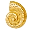 304 Stainless Steel Pendants, Conch Charm, Golden, 45x35mm