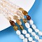 Natural Carnelian Nuggets & Natural Cultured Freshwater Pearl Beads Strands, 5.5~12x4.5~9x3.5~9mm, Hole: 0.8mm, Pearl: 6~13x6~9x3.5~7.5mm, Hole: 0.6mm, about 19~21pcs/strand, 6.30~6.69 inch(16~17cm)