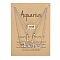 3Pcs 3 Styles Alloy Crystal Rhinestone Constellation Pendant Necklaces Sets, Platinum, Aquarius, 16.93 inch(43cm), 1pc/style