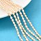 Natural Cultured Freshwater Pearl Beads Strands, Rice, Grade 3A, Navajo White, 2.8~3.2mm, Hole: 0.5mm, about 70~71pcs/strand, 13.98''(35.5cm)