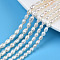 Natural Cultured Freshwater Pearl Beads Strands, Rice, Seashell Color, 4~7.5x3~4mm, Hole: 0.6mm, about 63~64pcs/strand, 13.58 inch(34.5cm)
