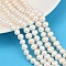 Natural Cultured Freshwater Pearl Beads Strands, Grade 2A+, Potato, Seashell Color, 6~7mm, Hole: 0.6mm, about 54~59pcs/strand, 13.46~14.49 inch(34.2~36.8cm)