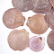 Shell Beads, Undrilled/No Hole Beads, Scallop, Light Salmon, 45~74x42~70x2~3mm