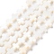Natural Freshwater Shell Beads Strands, Cross, Floral White, 7.5~8x7.5~8.5x2.5~3mm, Hole: 0.7mm, about 50pcs/strand, 15.47''(39.3cm)