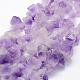 Natural Amethyst Beads Strands G-P322-09-1