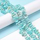 Natural Amazonite Beads Strands G-D480-A08-4