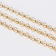 Iron Rolo Chains CH-S066-01-1