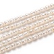 Natural Cultured Freshwater Pearl Beads Strands PEAR-L033-59-1