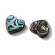 Conchiglia abalone / perle di conchiglia paua SHEL-T005-01-3
