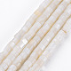 Eau douce naturelle de coquillage perles brins SHEL-N027-09-1