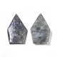 天然石ラブラドライトカボション  牙の形状  49x29.5x6~6.5mm G-F658-01-2