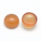 Natural Carnelian Cabochons G-P393-R41-10mm-2