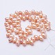 Natural Cultured Freshwater Pearl Beads Strands PEAR-F004-19-2