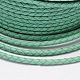 Eco-Friendly Braided Leather Cord WL-E008-6mm-01-2