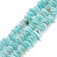 Natural Amazonite Beads Strands G-D480-A08-1