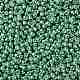 TOHO Round Seed Beads X-SEED-TR08-PF0561-2
