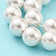 Brins de perles de coquillages naturels galvanisés SHEL-F008-03B-01-3