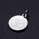 Chakra 201 Stainless Steel Charms STAS-T049-T680-1-2