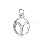 Подвески из нержавеющей стали марки 304 STAS-T036-T513-A1