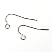 200Pcs 304 Stainless Steel Earring Hooks Ear Wire with Horizontal Loop  17x22mm