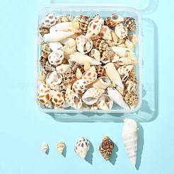 103.8 г подвески из натуральной спиральной ракушки в двух стилях SSHEL-FS0001-08