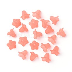 Perles en acrylique transparente&nbsp;FACR-WH0004-01