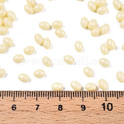 Выпечка расписных стеклянных бусин SEED-C004-04A