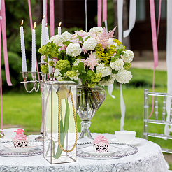 Прозрачная подарочная коробка из пластика для животных&nbsp;OBOX-WH0016-04B