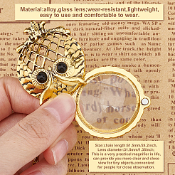 2 pendentif médaillon magnétique en forme de loupe&nbsp;NJEW-CP0001-02