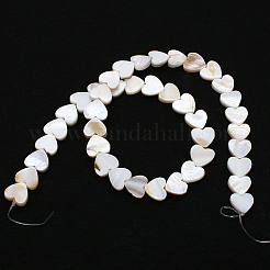 4 нить бусин из натуральных пресноводных ракушек SHEL-PA0001-06