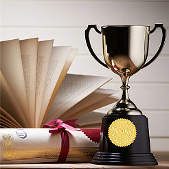 Пластиковые самоклеящиеся наклейки с тиснением из золотой фольги&nbsp;DIY-WH0211-256