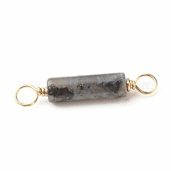 Breloques connecteurs larvikite naturels&nbsp;PALLOY-JF01454-05
