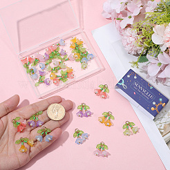 30шт 6 цвета прозрачные стеклянные подвески&nbsp;FIND-SC0019-73