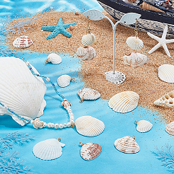 30шт. подвеска из натуральной ракушки в 5 стилях PALLOY-PH01860