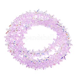 Chapelets de perles en verre électroplaqué&nbsp;EGLA-P069-01A-AB06