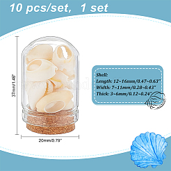 Cloche en verre en forme d'arche avec coquille de cauri naturelle mélangée à l'intérieur&nbsp;AJEW-AB00017