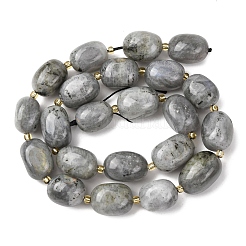 Природные лабрадорита бисер нитей&nbsp;G-G453-D10-01