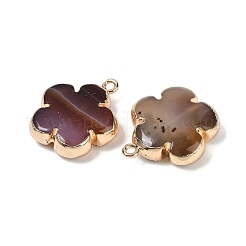 Natur-Achat-Anhänger&nbsp;G-P566-01G-02