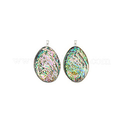 2 шт. большие подвески из натуральной ракушки пауа&nbsp;FIND-BC0013-55