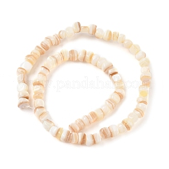Нити бусин из натуральной белой ракушки SSHEL-F304-02B