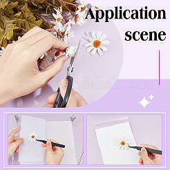 Квадратные прозрачные акриловые пресс-формы для цветов DIY-BC0012-68