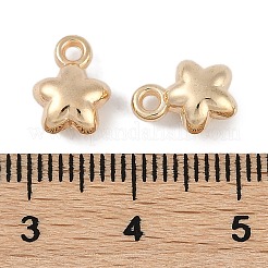 Пластмассовые подвески ccb FIND-U021-07KCG