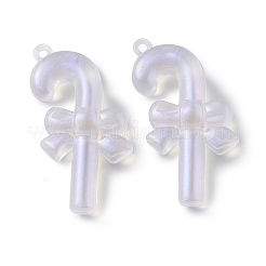 Прозрачные акриловые подвески OACR-P007-31