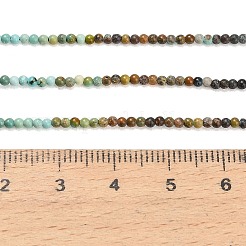 Stränge aus natürlichen Hubei-Türkisperlen mit Farbverlauf&nbsp;G-A322-A03-2mm