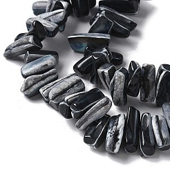 Окрашенные нити натуральных бусин-ракушек трохуса SSHEL-C013-09A