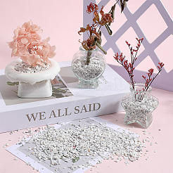 500 г бусинок из говлита G-SP0001-04