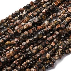 Натуральные леопардовые шкурки из яшмы G-I389-A09