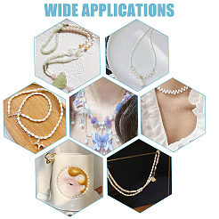 1 нить натуральных бусин из ракушек трохус BSHE-NB0001-26