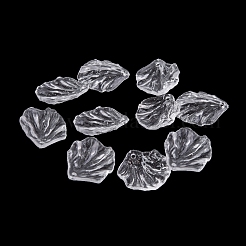 Прозрачные акриловые подвески TACR-G050-03B